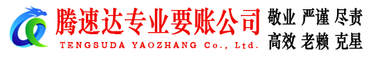 莲都腾速达清债公司